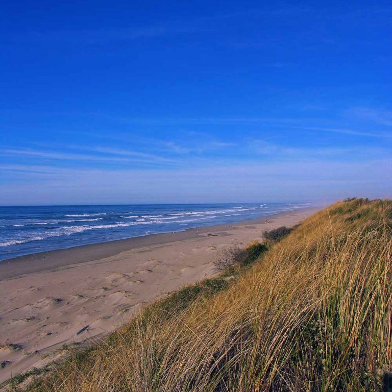 Coastal Dunes, ©Bureau of Land Management