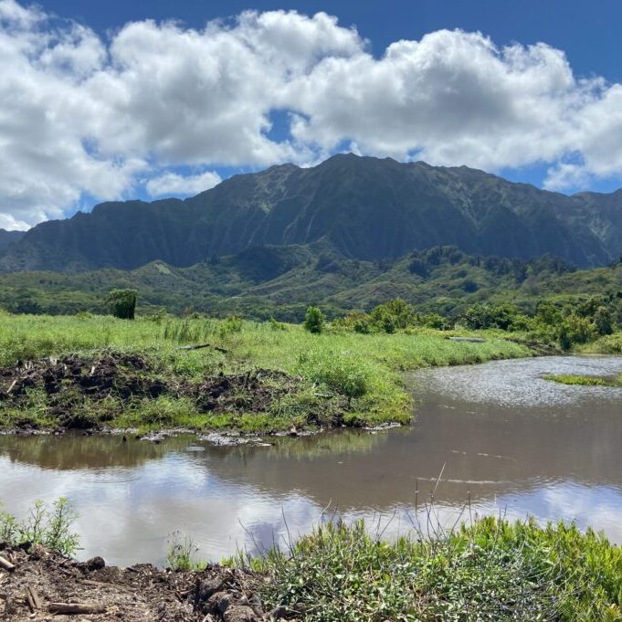 Wetlands at the Heʻeia National Estuarine Research Reserve. Credit: Monica Iglecia