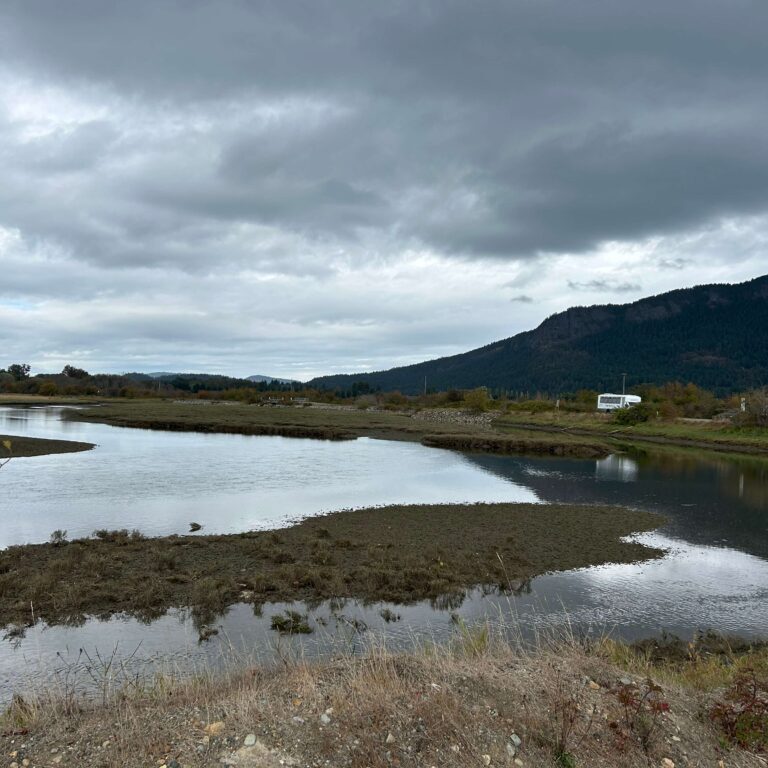 View of proposed restoration areas of the Cowichan Estuary.  Photo: Natalie Myers
