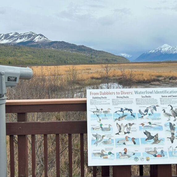 Scenic wildlife viewing area with informative sign and mountains