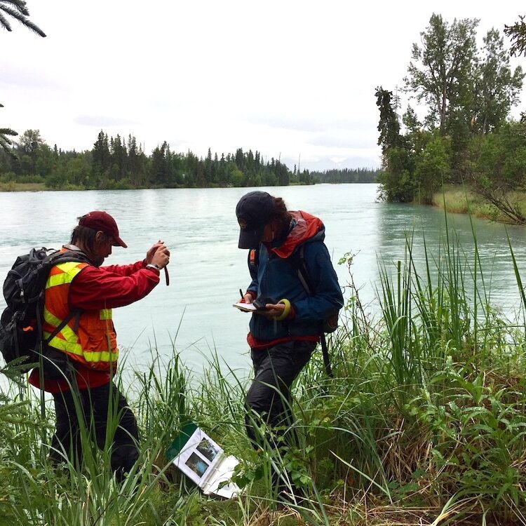 Joel Cooper and Courtney Dodge monitoring along the Kenai River. Lynn Fuller