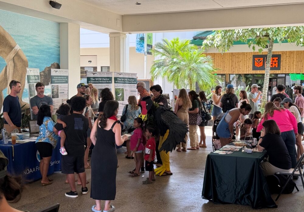 This image shows a large crowd of people at the ʻalae ʻula campaign kick-off event.