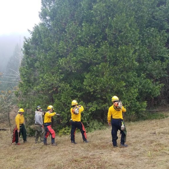 Learning about prescribed fire with the Fire Learning Network.<br>Lisa McNee, Bureau  of Land Management