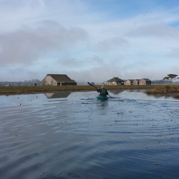 Liscom Slough, Humboldt Bay     Photo Ted Halstead © Creative Commons