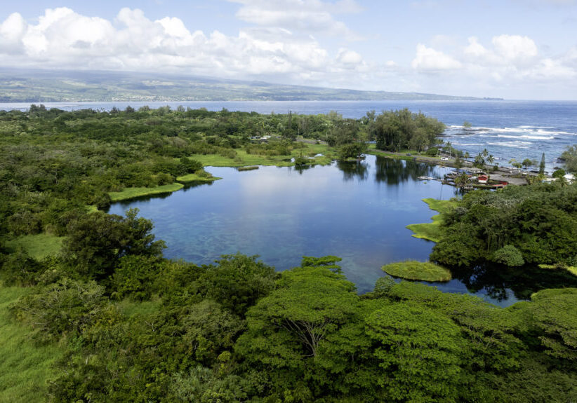 The Lokowaka Pond complex covers 51 acres near Hilo on Hawaiʻi Island. Credit: ʻĀina Hoʻōla Initiative.