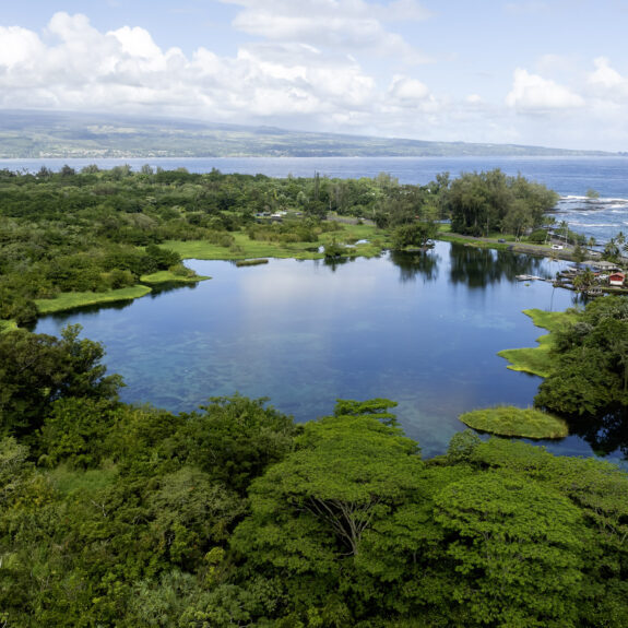 The Lokowaka Pond complex covers 51 acres near Hilo on Hawaiʻi Island. Credit: ʻĀina Hoʻōla Initiative.