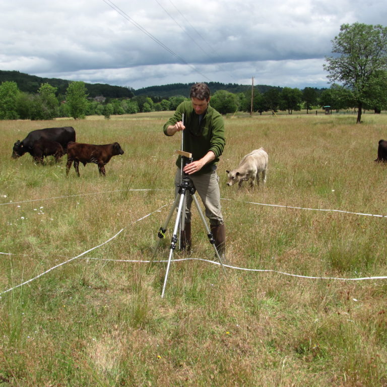 Greenbelt Land Trust staff collects vegetation data at Bald Hill Farm. Photo: Bob Altman