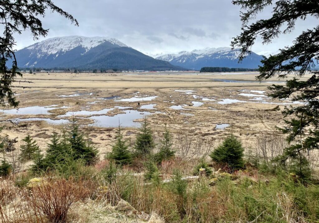 Mendenhall Wetlands, one of the Partnership Grant project sites. Photo: Lauren Cusimano, Audubon Alaska 