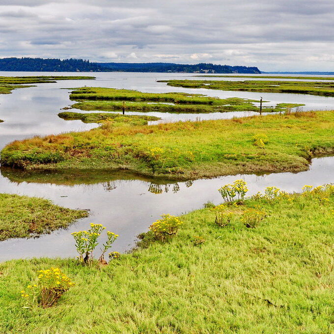 Nisqually Estuary / Jim Culp © Creative Commons