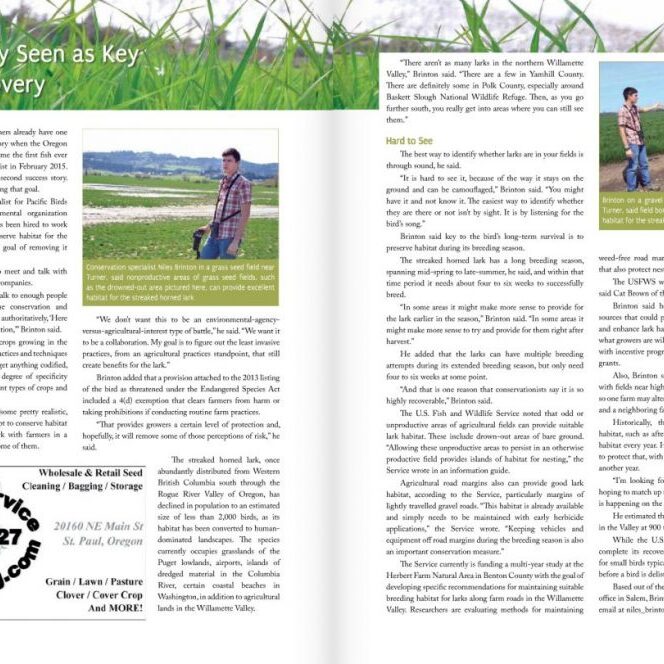 OSM Spring 2017 article