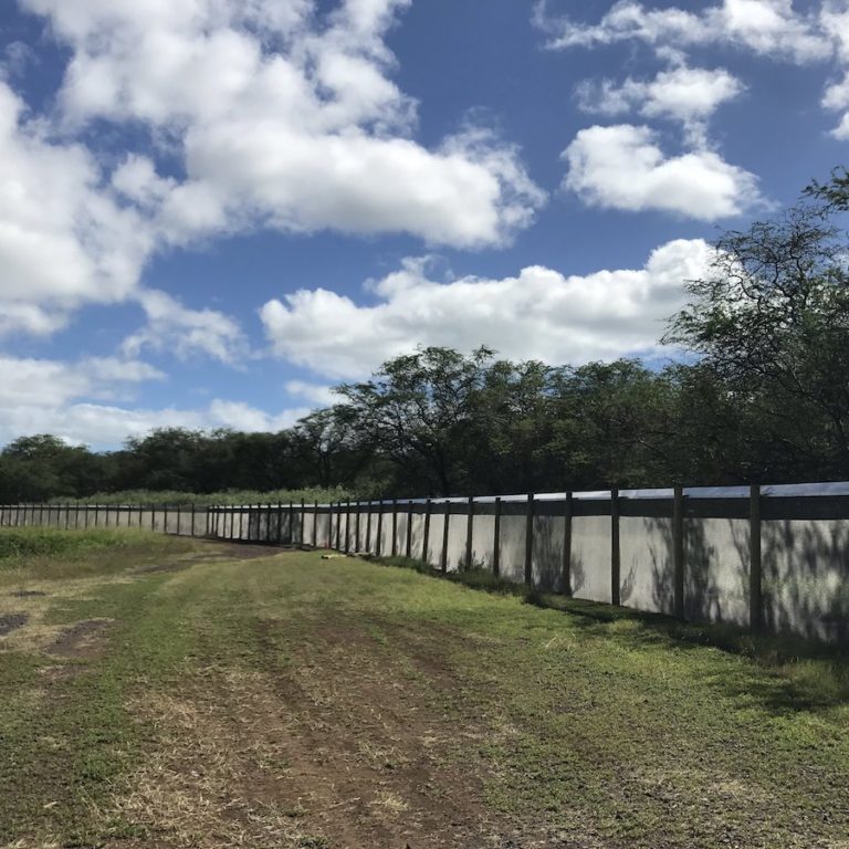 Predator fence at Pearl Harbor National Wildlife Refuge<br>Photo courtesy of Pacific Rim Conservation