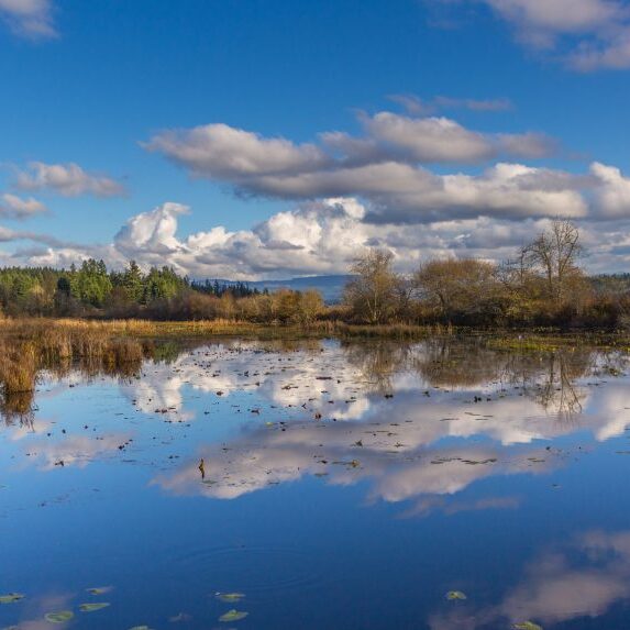 Joseph Gruber © Creative Commons