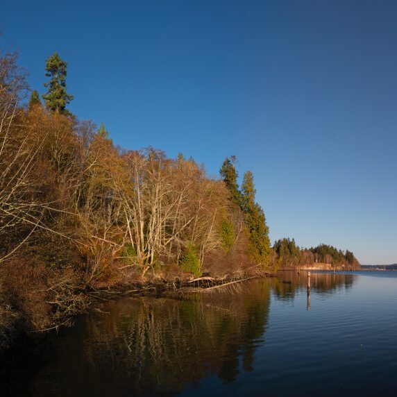 Gamble Panorama
