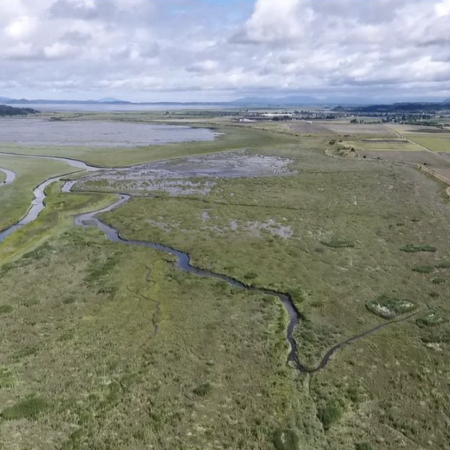 Port Susan Bay, Washington<br>Washington Department of Fish & Wildlife
