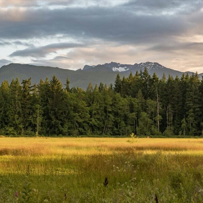 Photo of Hamilton Marsh by Regional District of Nanaimo