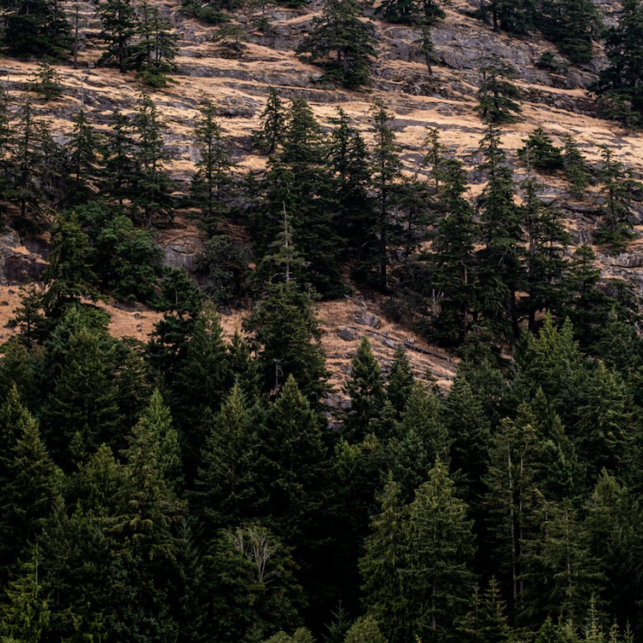 Mt Fisher Bluffs, Saturna Island
