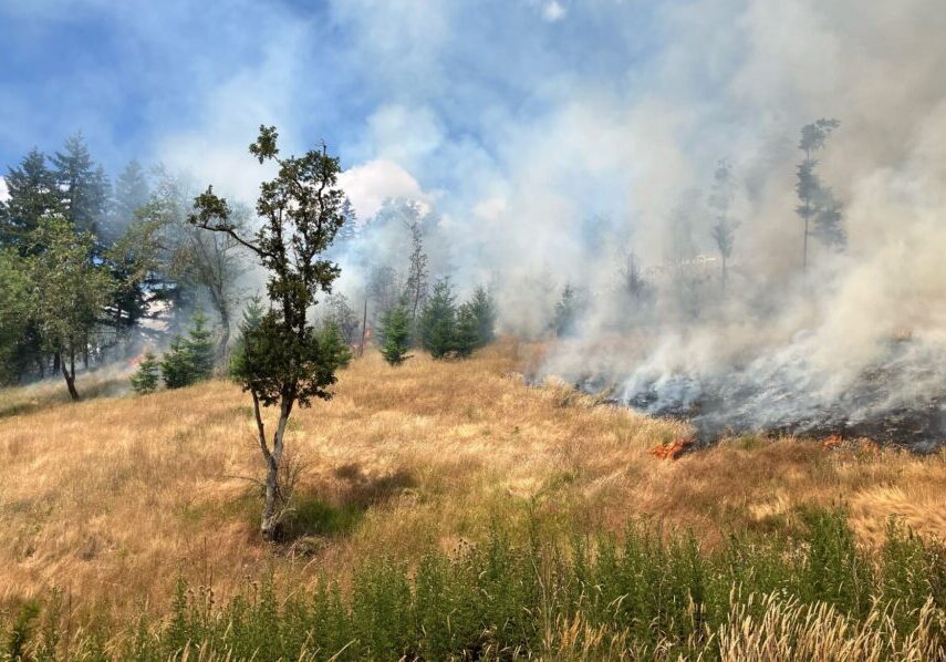 The burn area in Douglas County, OR. A brown hill, with some trees, and smoke and charred ground to the right of the image. Photo: Umpqua Prescribed Burn Association (UPBA)