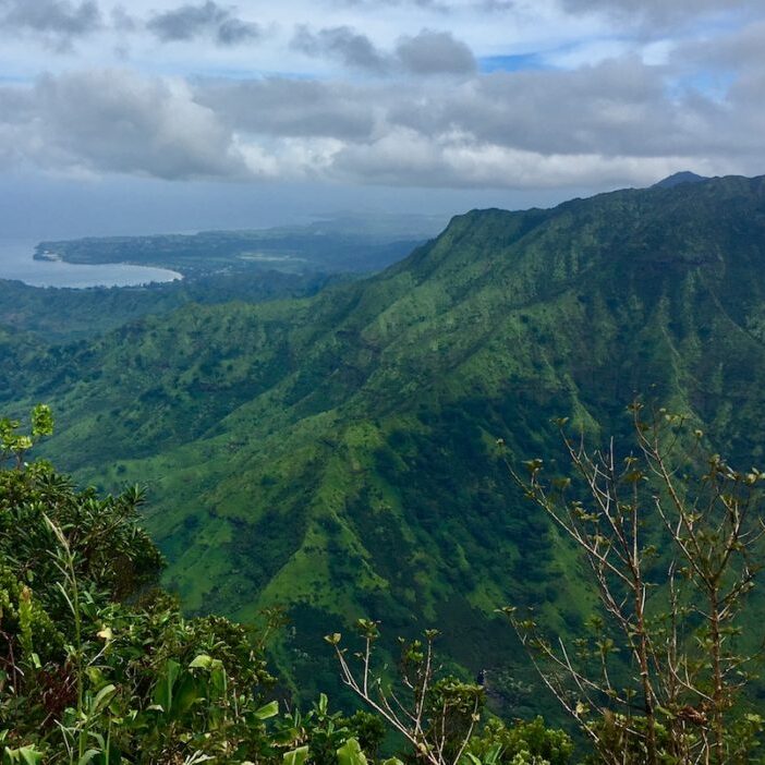 View from the Kilohana Lookout.<br>© Yuki Reiss
