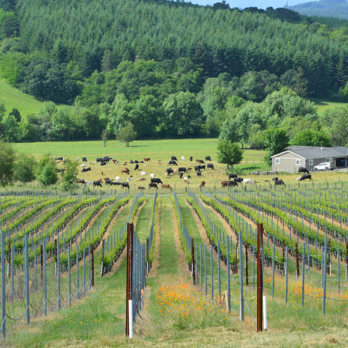 Willamette Valley OregonNatural Resources Conservation Service
