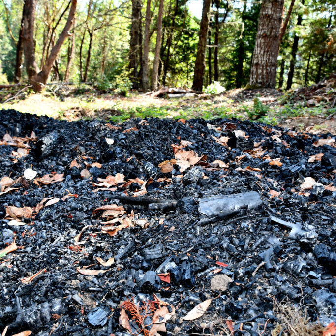 Biochar pile in southern Oregon<br>Tracy Robillar, Natural Resources Conservation Service
