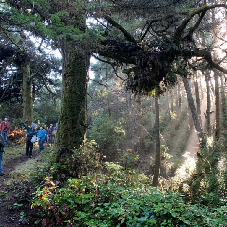 A group from the California Native Plant society, North Coast Chapter, explores the new conservation area.